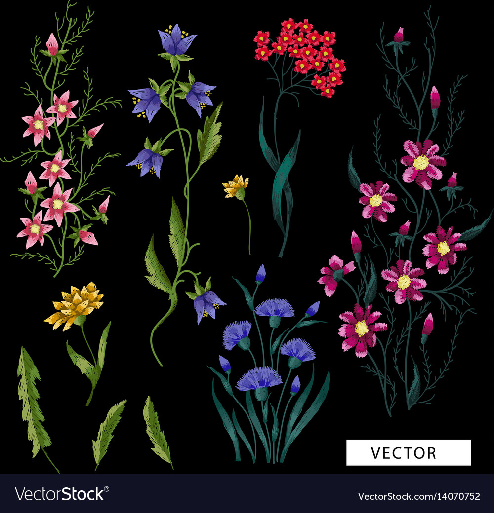 Jesse C. Mault flowers royalty free vector image  vectorstock