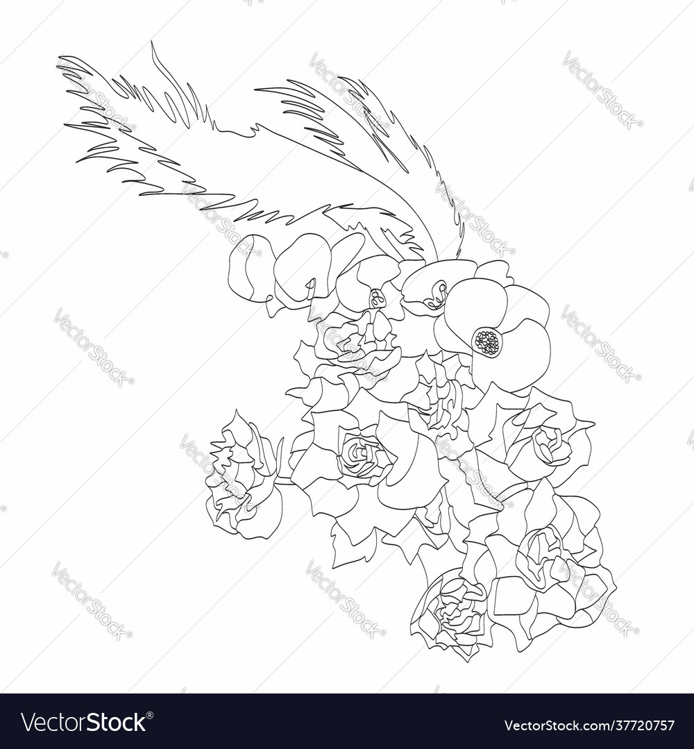 Peony line drawing flower line art peonies Vector Image