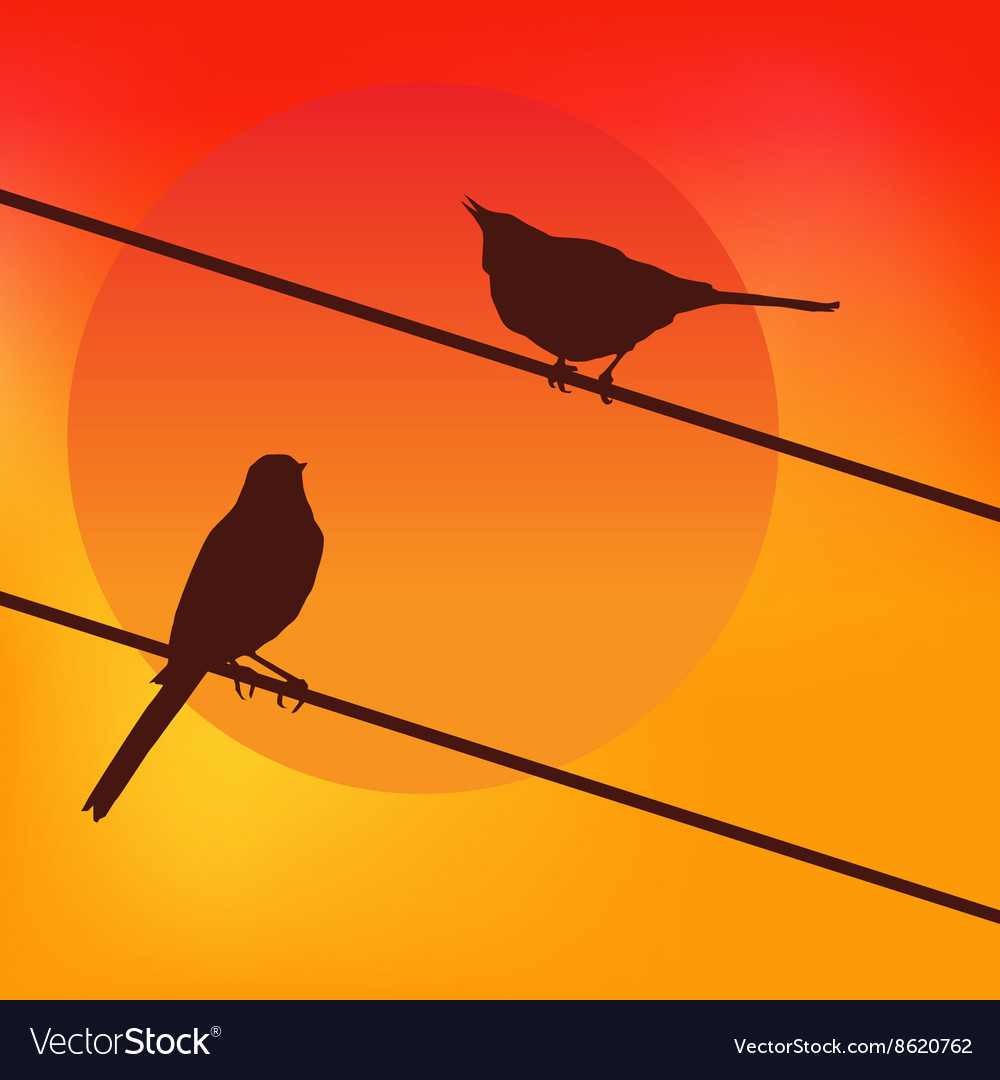 Two birds on the background of the sunset Vector Image