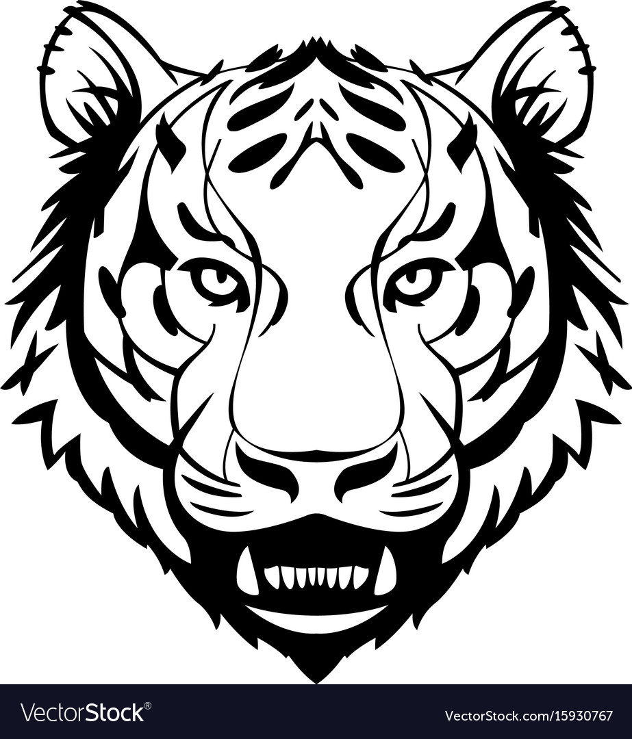 Tiger head Royalty Free Vector Image - VectorStock