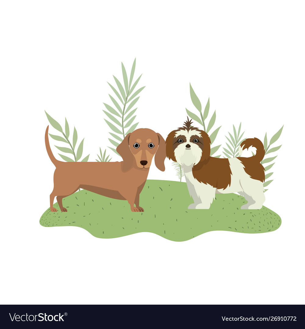 Cute And Adorable Dogs On White Background Vector Image