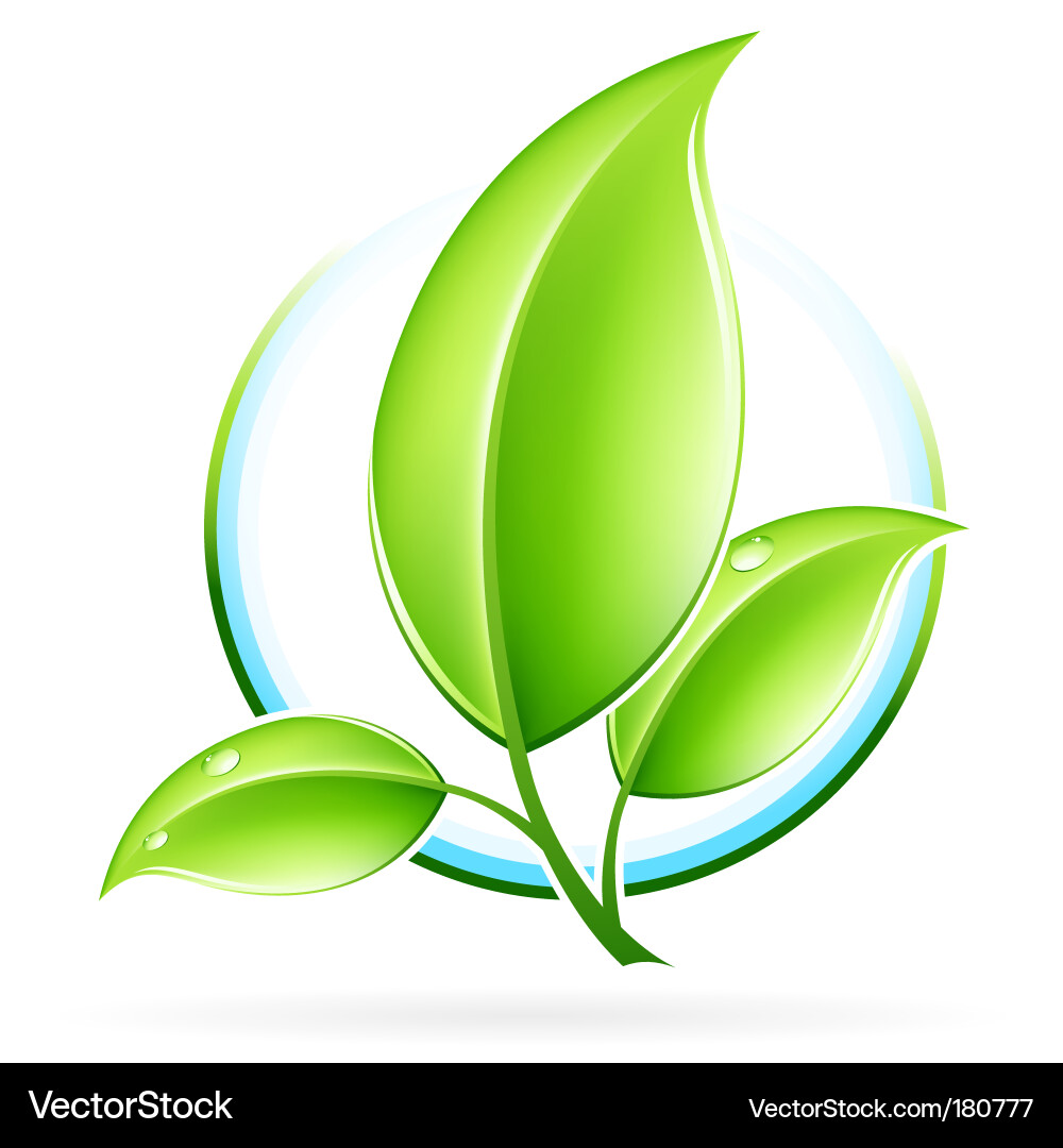 Eco icon Royalty Free Vector Image - VectorStock