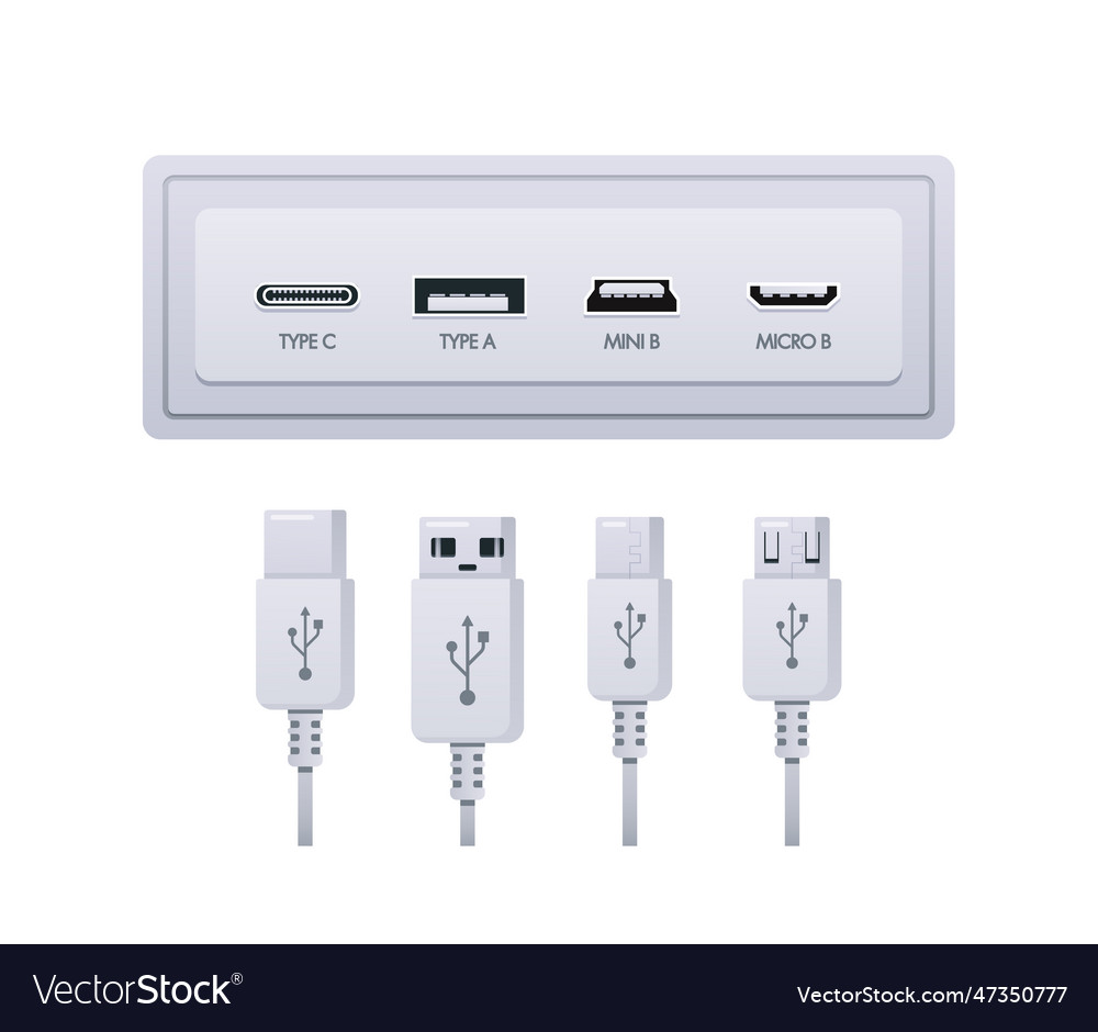 Usb socket plug types include type a type c mini Vector Image
