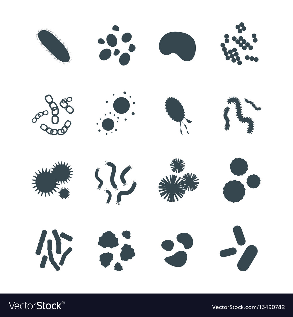 Bacteria virus microscopic isolated microbes icon