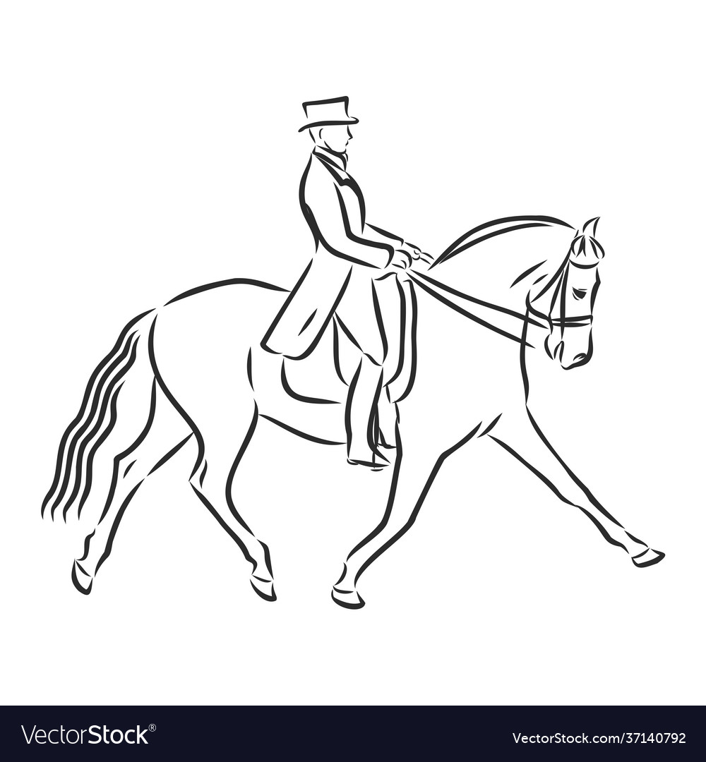 A sketch dressage rider on horse executing Vector Image