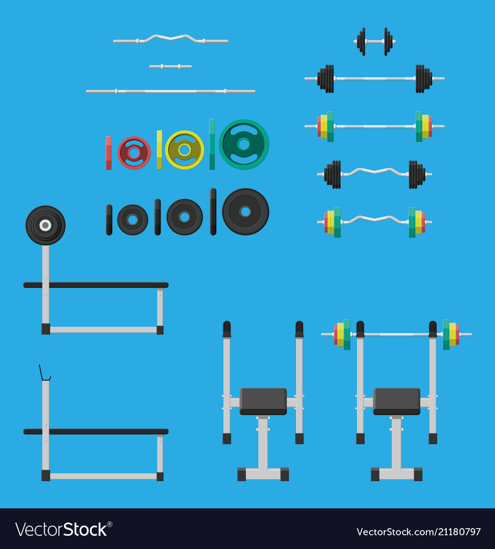 Rubber And Metal Weights Dumbbell And Bench Vector Image