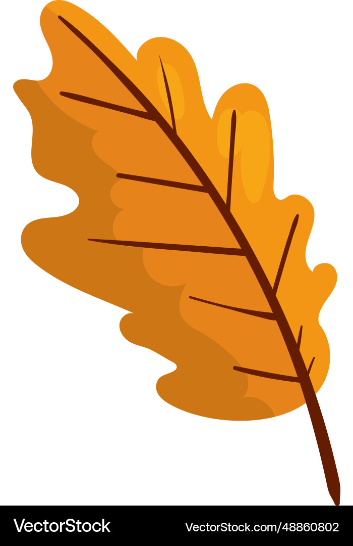 Autumn leaf isolated design Royalty Free Vector Image