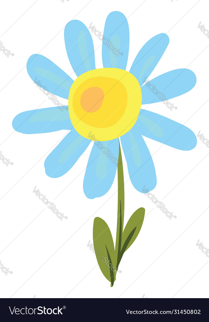 Daisy flat on white background Royalty Free Vector Image