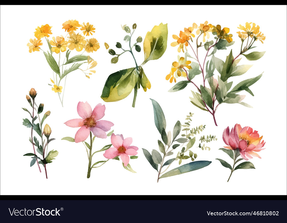 Set watercolor arrangements with garden flowers Vector Image