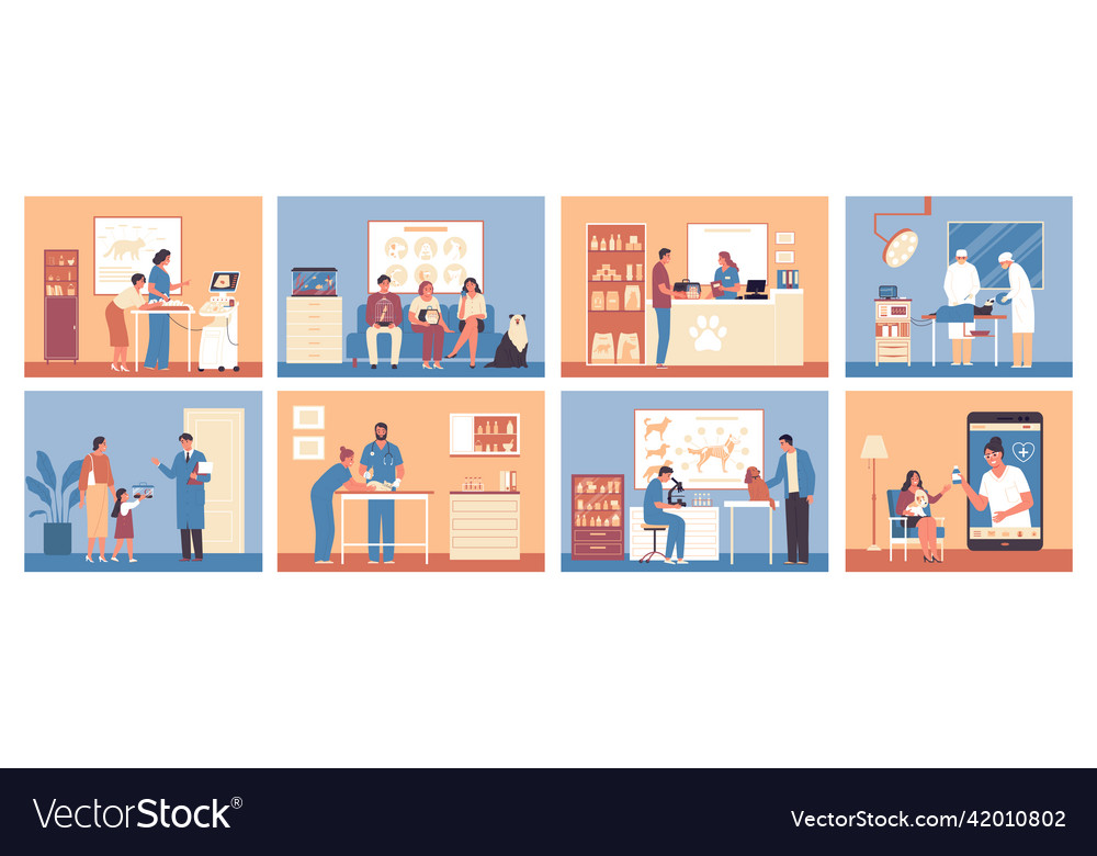 Veterinary color compositions set Royalty Free Vector Image