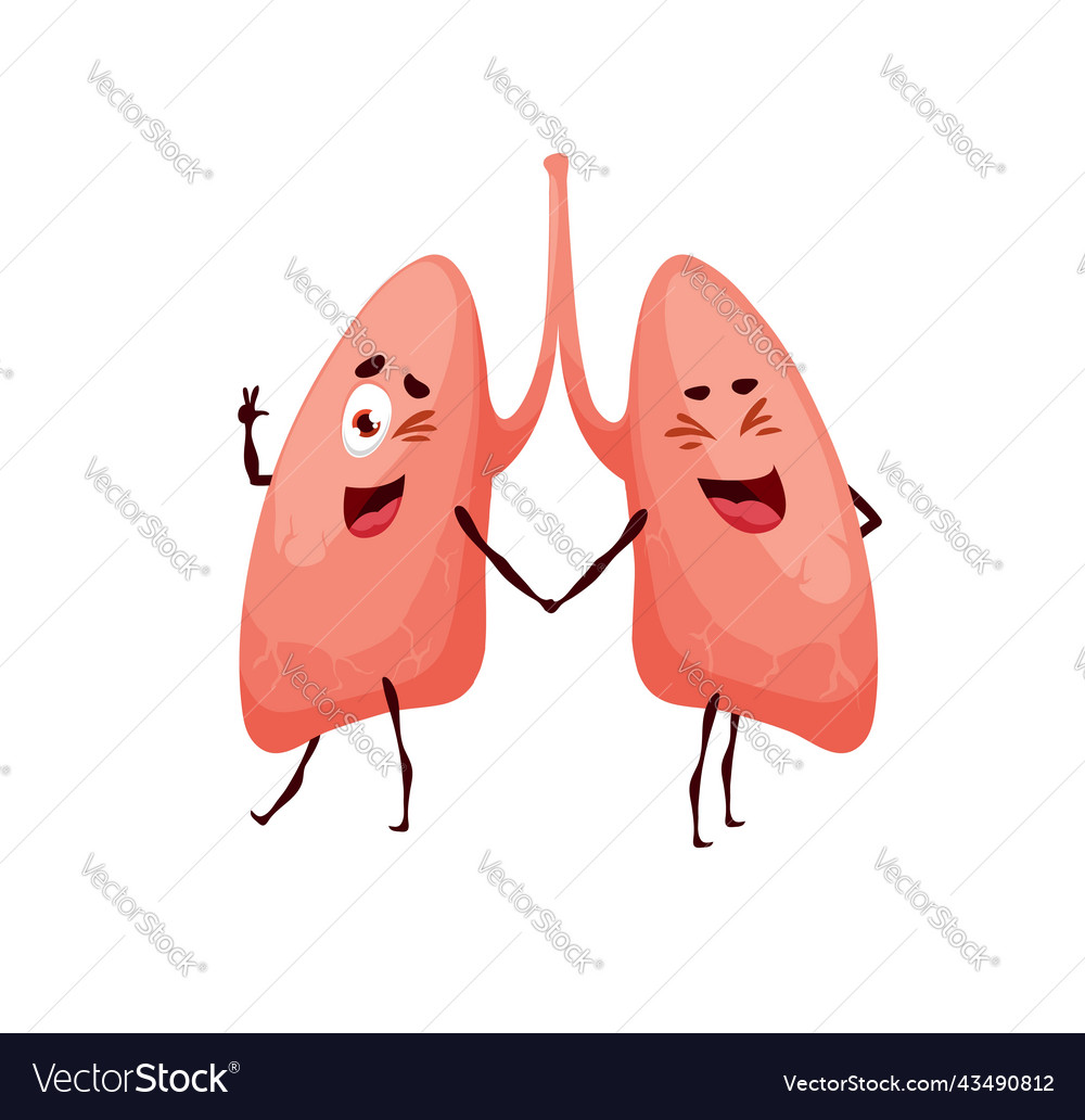 Human funny cartoon lungs character respiratory Vector Image