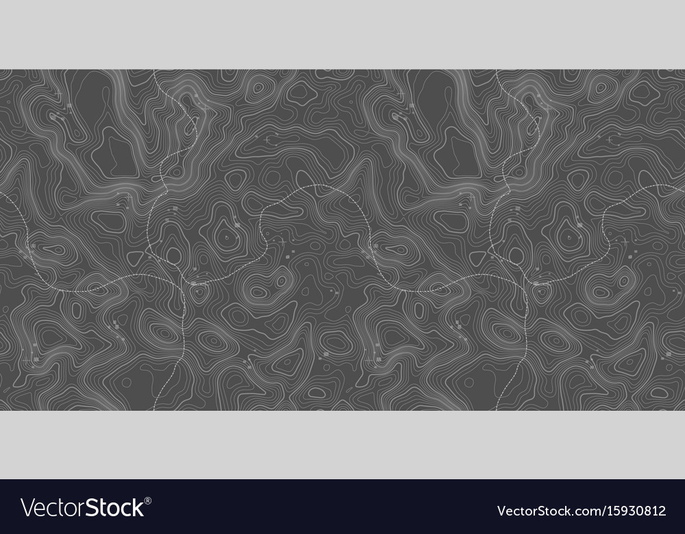 Seamless pattern topographic map background with Vector Image