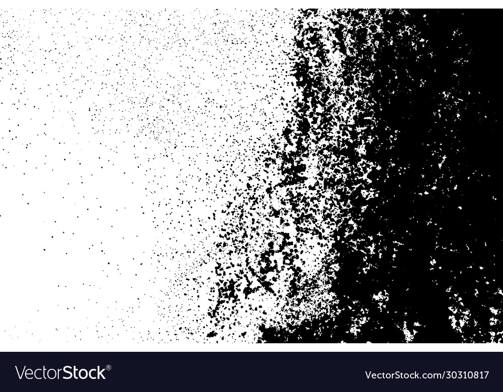 Black and white grainy texture Royalty Free Vector Image