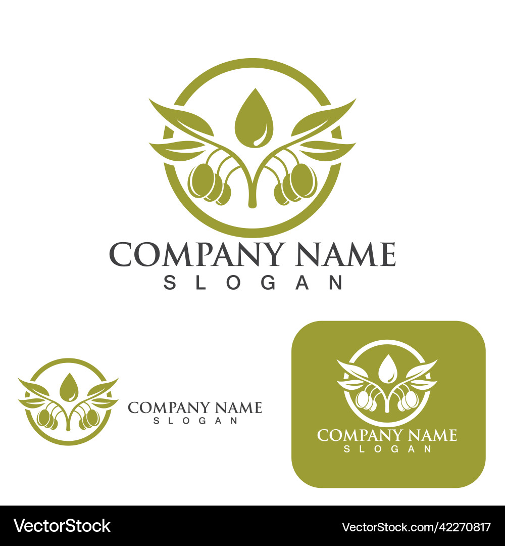 Olive tree Royalty Free Vector Image - VectorStock