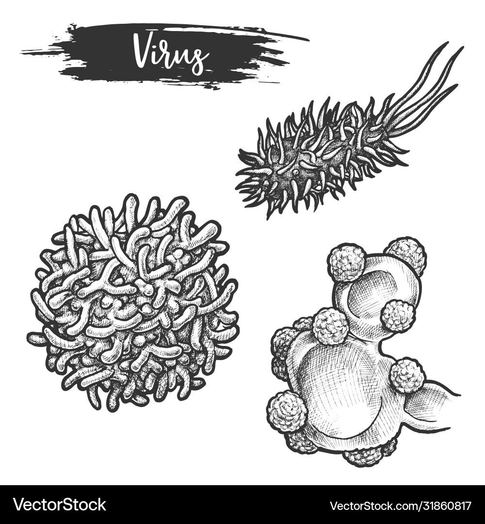 Set isolated sketches rabies virus herpes Vector Image