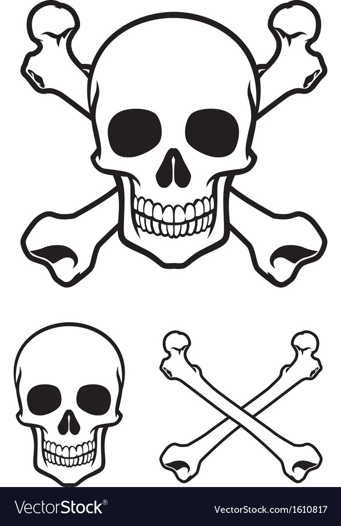 28,800+ Skull And Crossbones Stock Photos, Pictures & Royalty-Free Images -  iStock, skulls and bone 