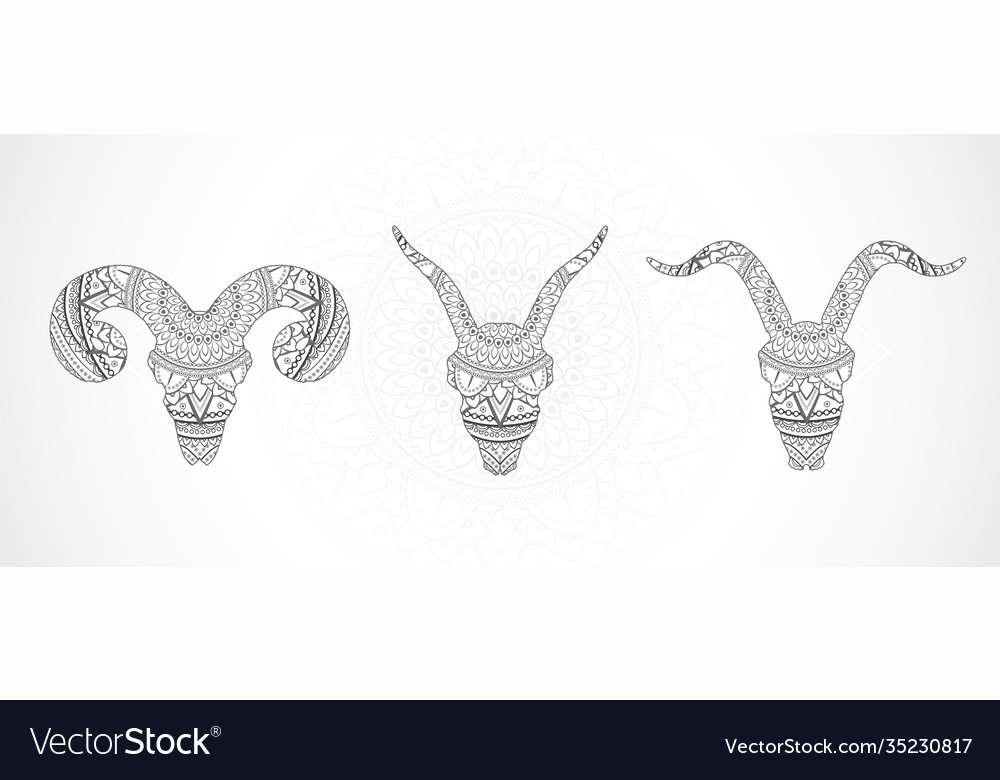 Skulls ram and goats vector image Skulls ram and goats