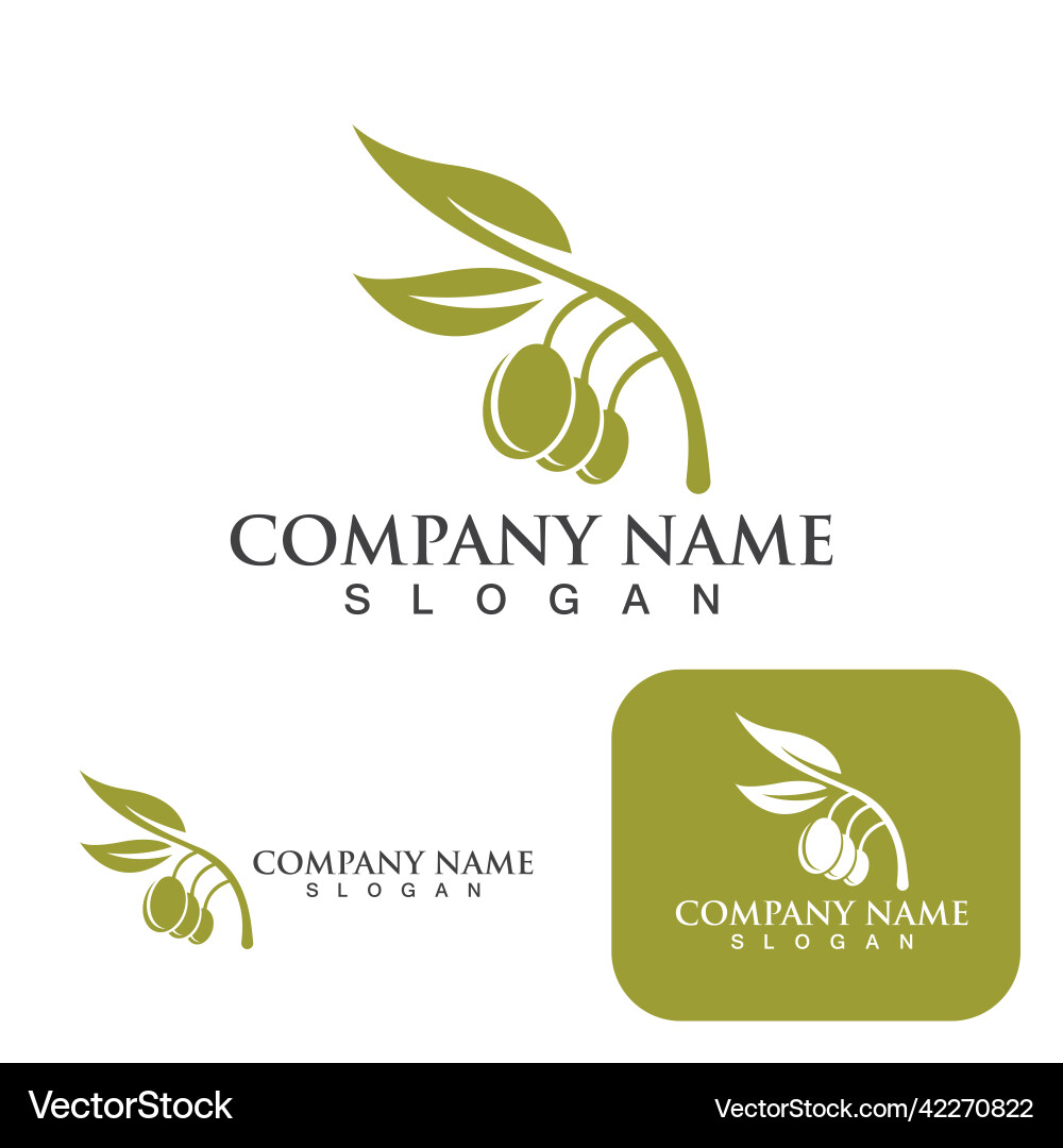 Olive tree Royalty Free Vector Image - VectorStock