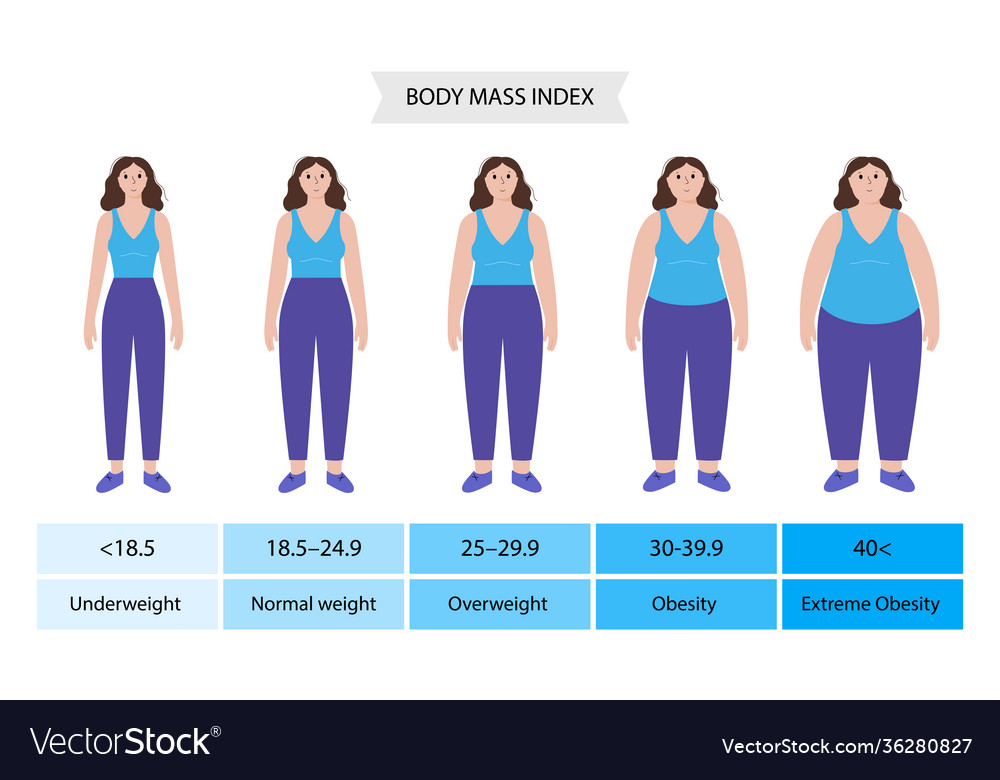 body-mass-index-woman-royalty-free-vector-image