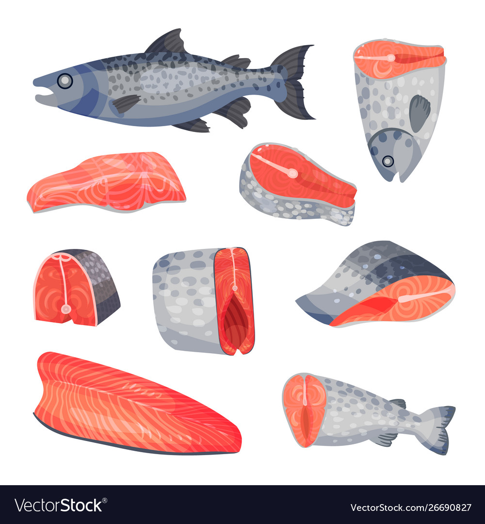 Set sliced pieces salmon Royalty Free Vector Image