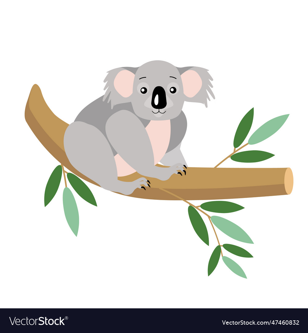 Koala on a branch Royalty Free Vector Image - VectorStock