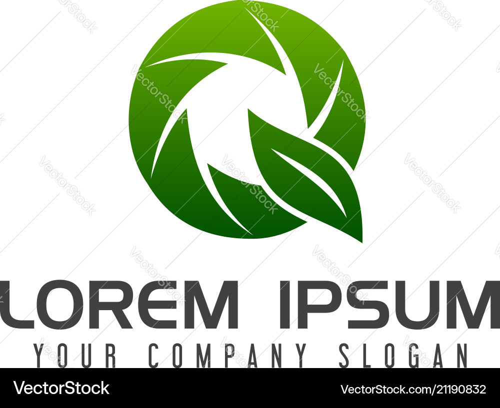 Letter q leaf logo design concept template Vector Image
