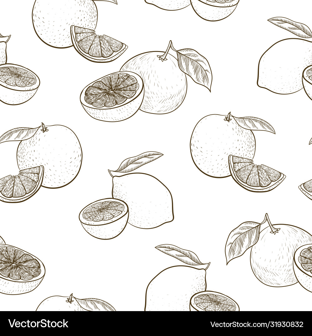 Seamless pattern with drawing citrus fruit Vector Image