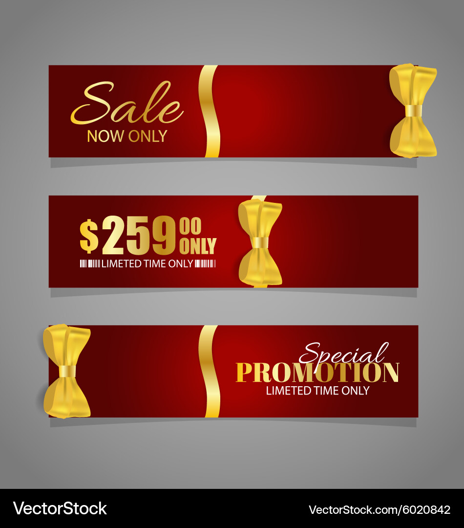 Holiday gift coupons with ribbons Royalty Free Vector Image