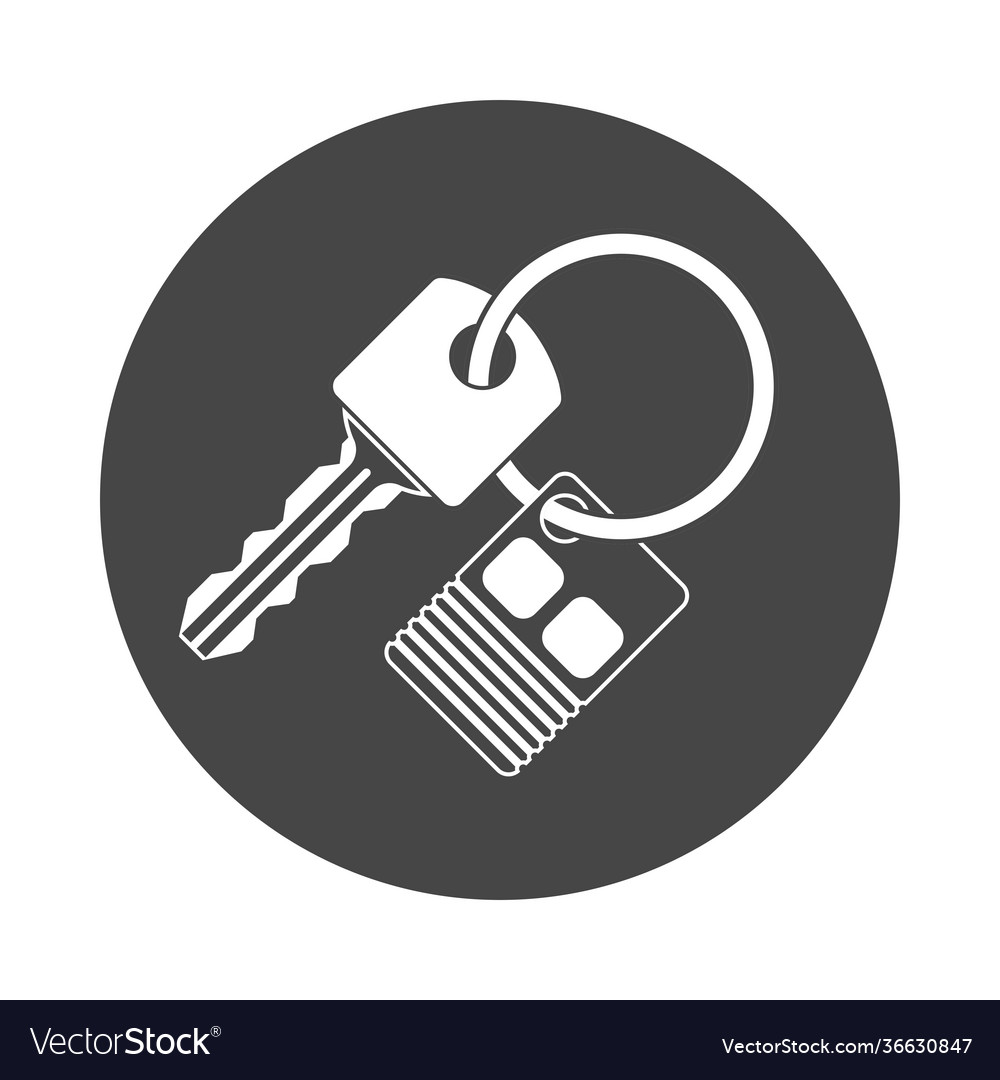 Car key and key chain Royalty Free Vector Image