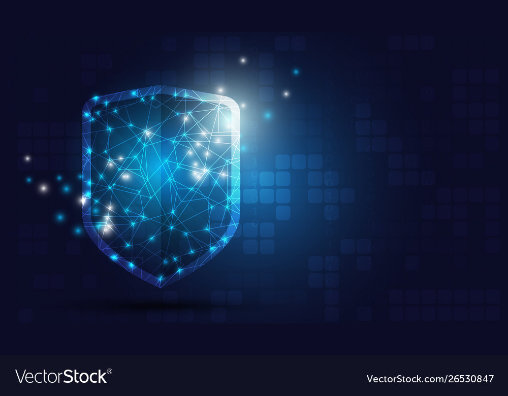 Online data protection shield