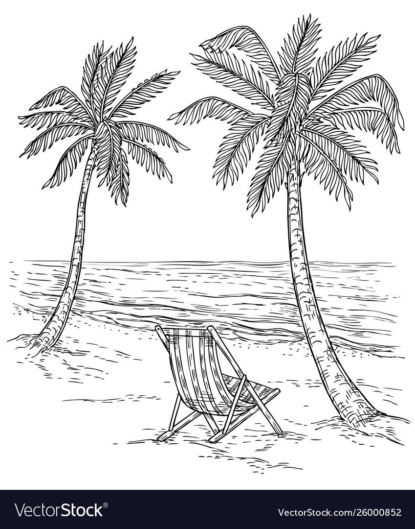 Sketch Palm Tree Landscape Tropical Palm Beach Vector Image