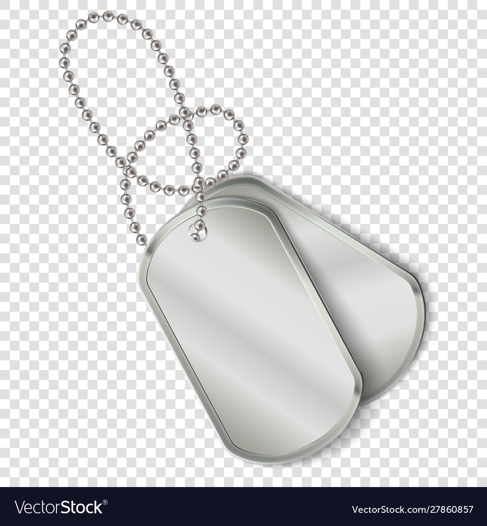 Military dog tags army chain on Royalty Free Vector Image