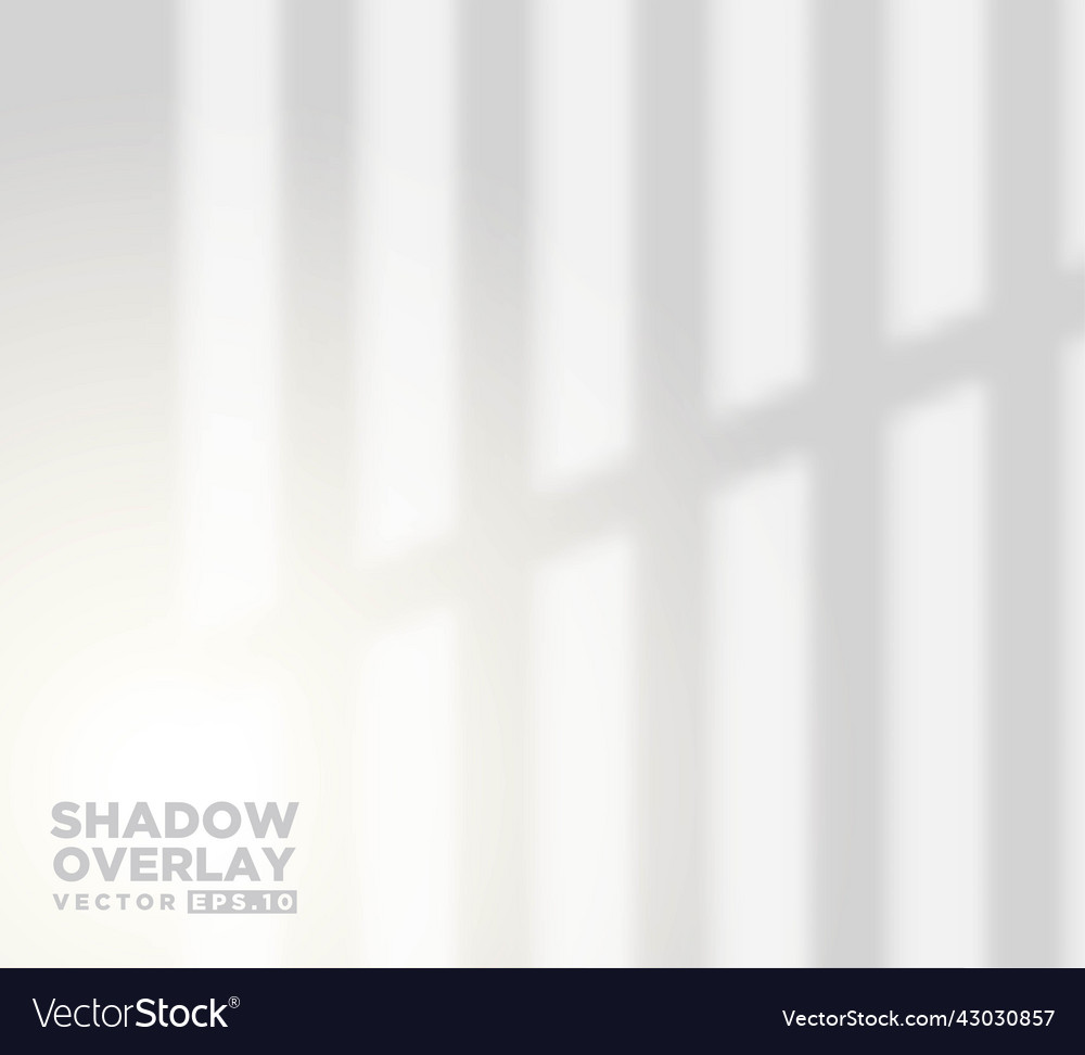 Realistic Shadow Overlay Effect Of Room Window Vector Image