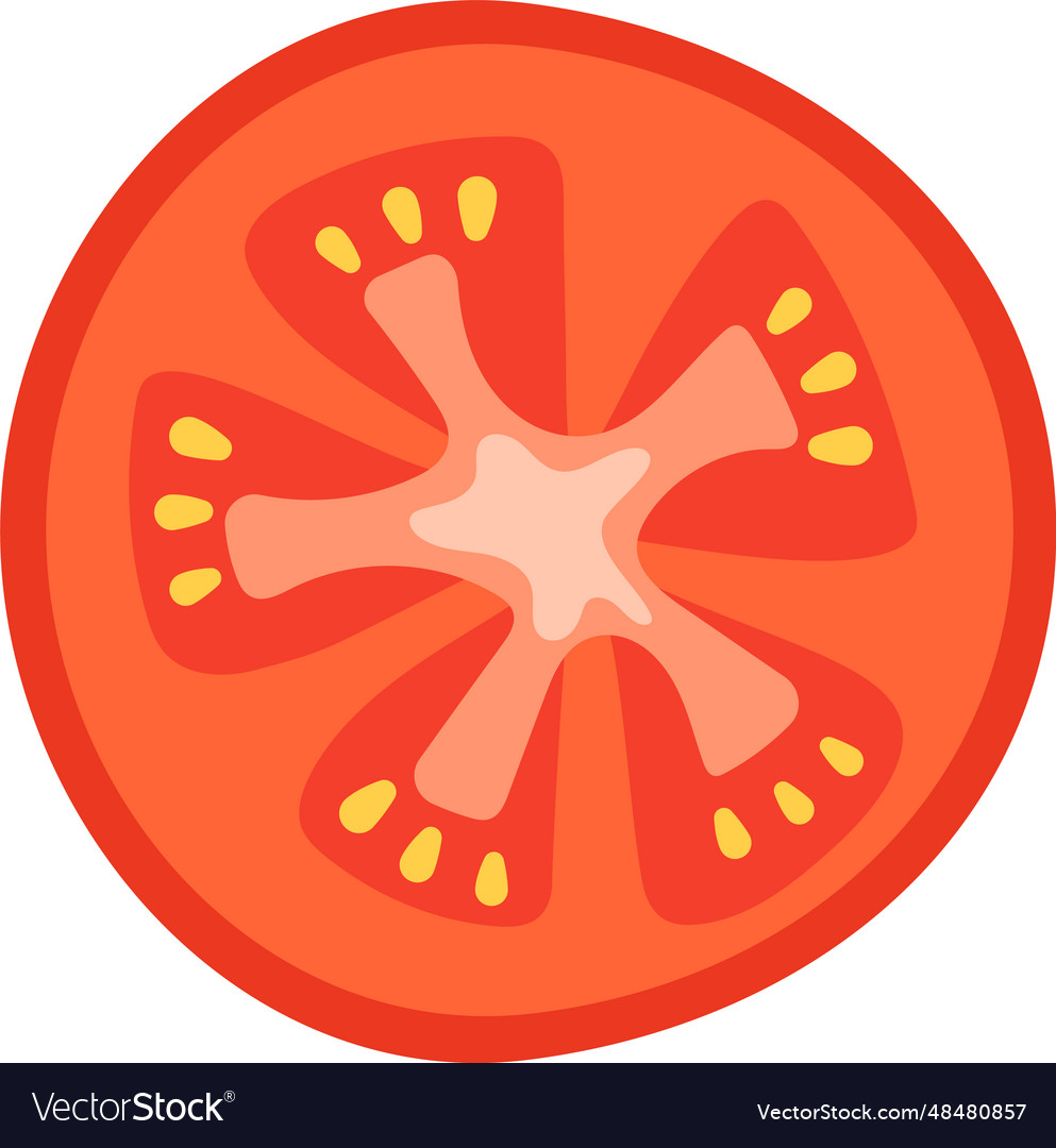 Tomato vegetable slice Royalty Free Vector Image