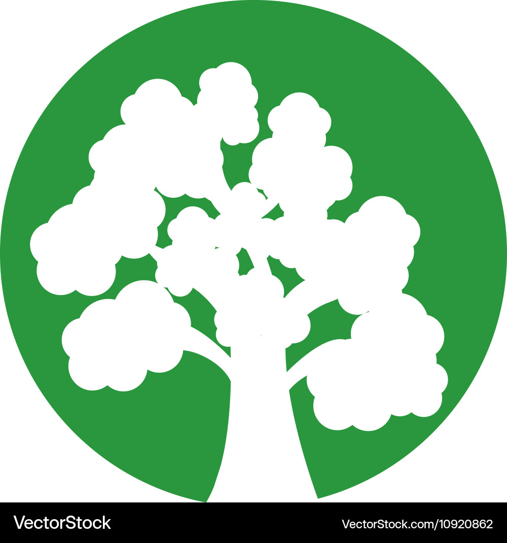 Tree plant forest isolated icon Royalty Free Vector Image