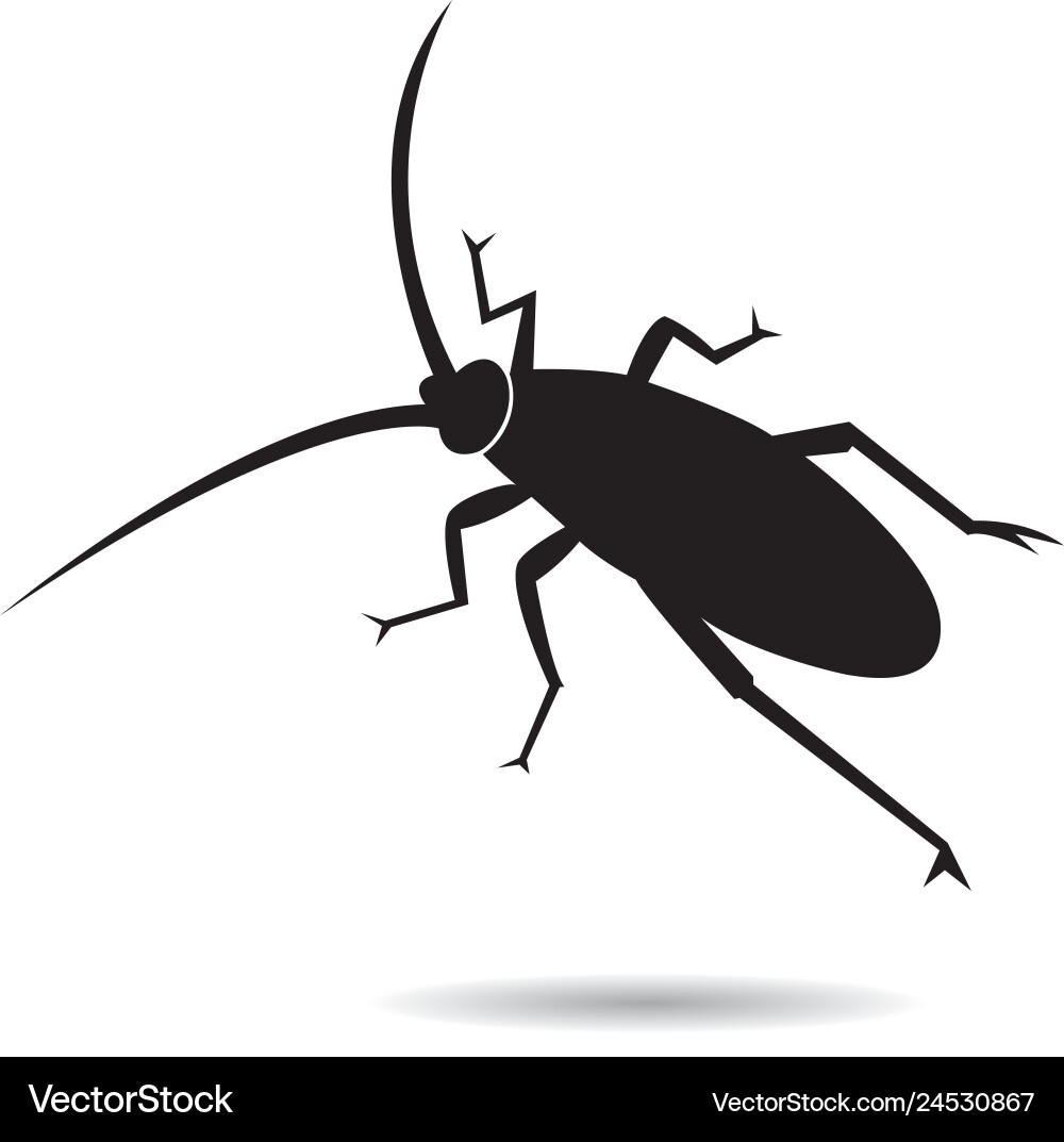 Cockroach icon Royalty Free Vector Image - VectorStock