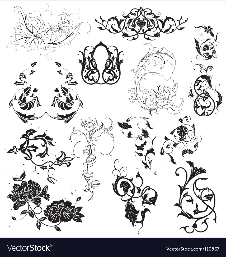 Floral elements Royalty Free Vector Image - VectorStock