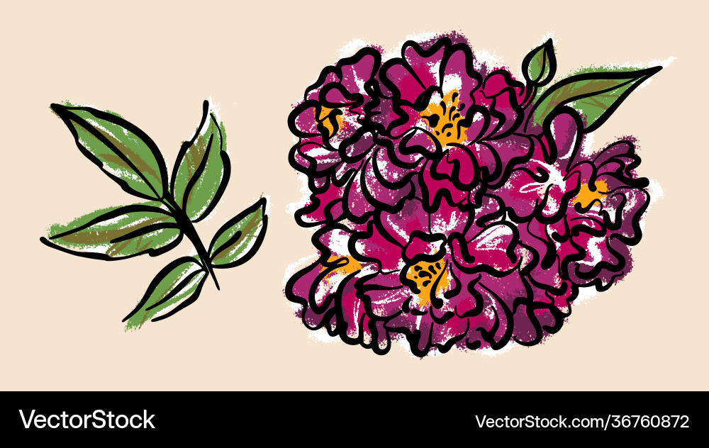 Flower a bushy climbing pink rose Royalty Free Vector Image