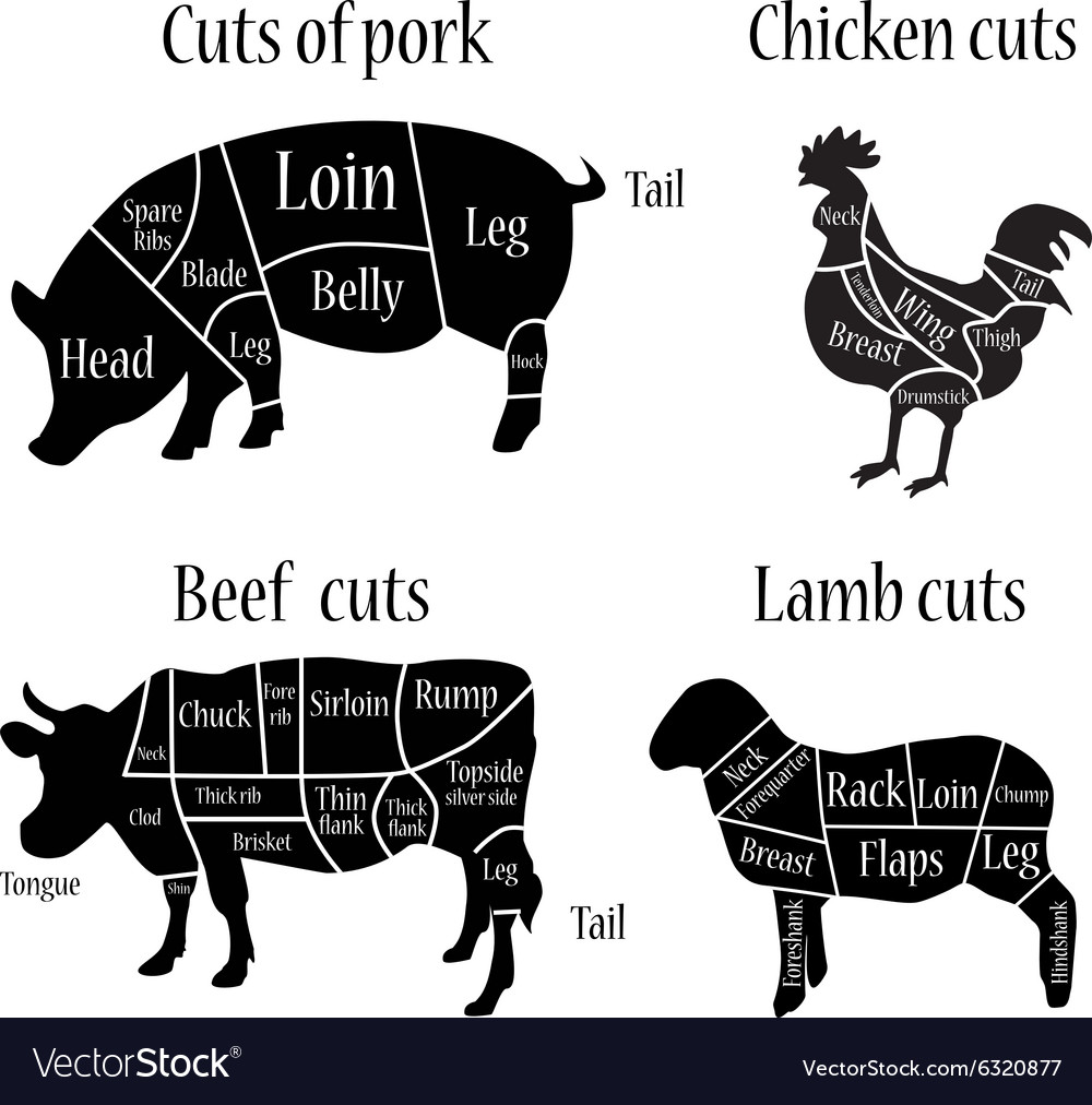 Butcher chart Royalty Free Vector Image VectorStock