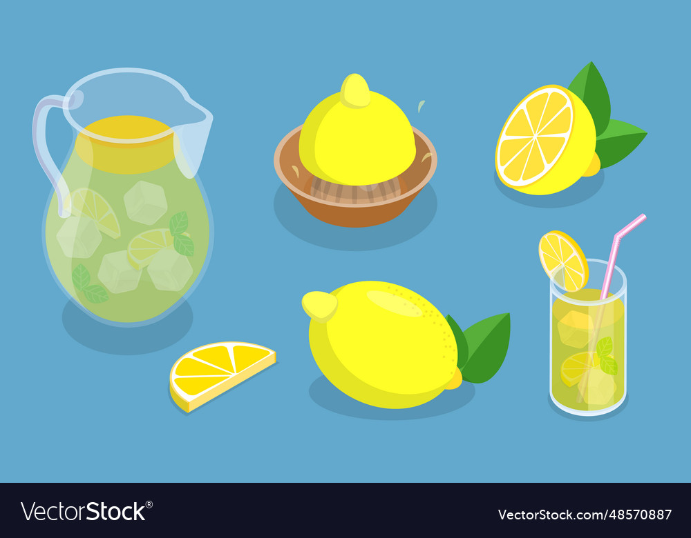 3d isometric flat set of lemonade elements Vector Image