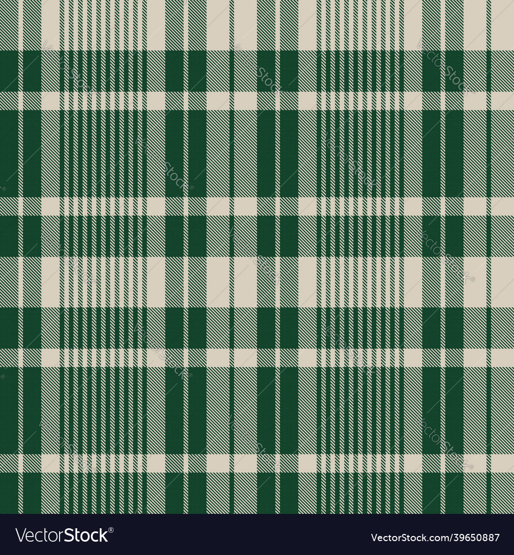 Asymmetric plaid textured seamless pattern Vector Image