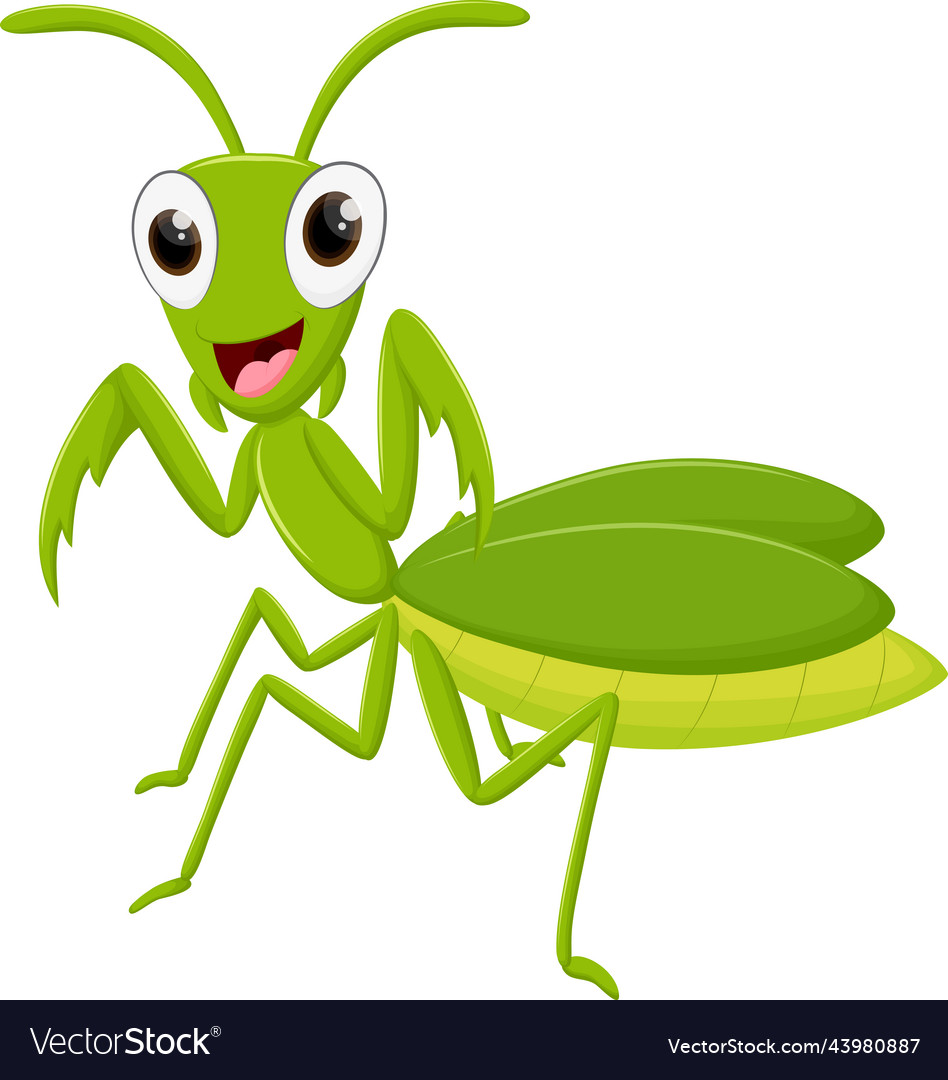 Cute mantis cartoon isolated on white Royalty Free Vector