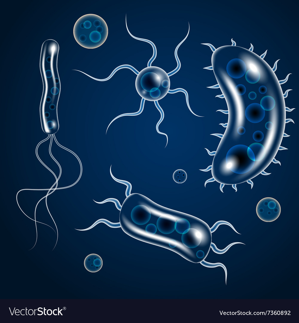 Bacteria microbes icon set Royalty Free Vector Image