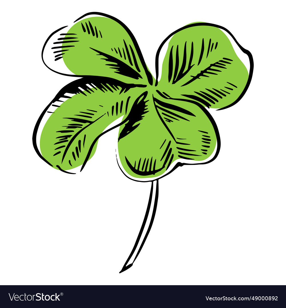 Simple clover leaf drawn Royalty Free Vector Image