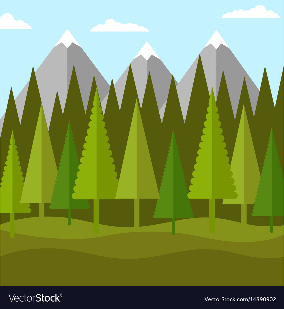 Flat landscape of forest of conifers and mountains