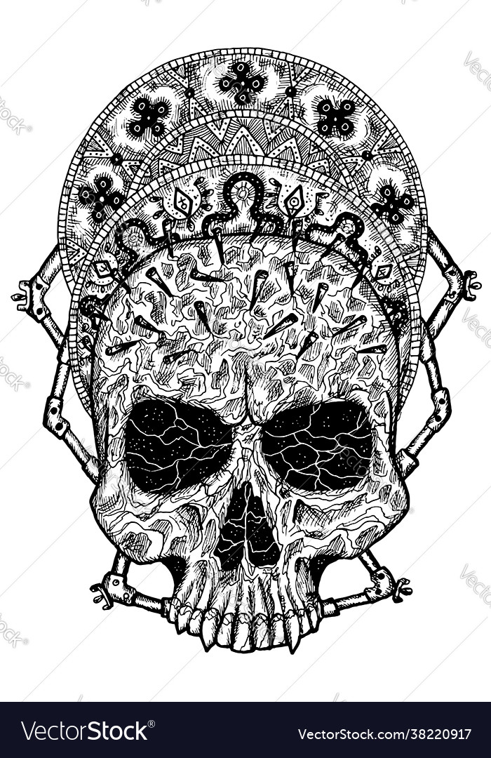 Black and white scary skull Royalty Free Vector Image