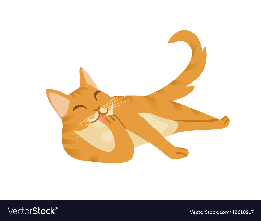 Ginger cat cartoon lying on the ground cartoon Vector Image