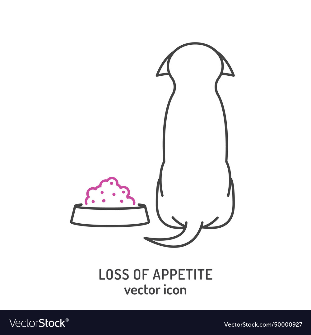 loss-of-appetite-in-dogs-common-dog-disease-vector-image