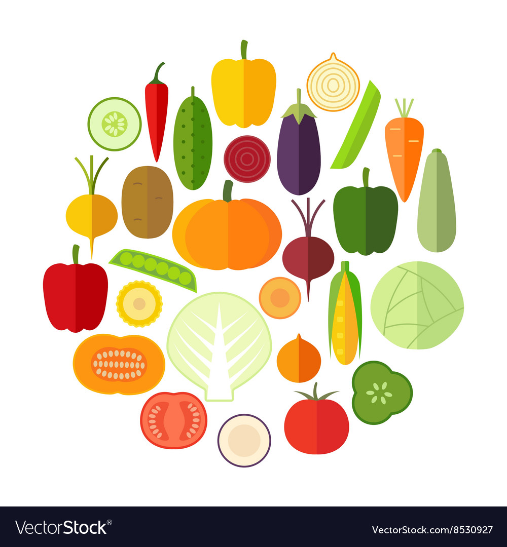 Set fresh healthy vegetables made in flat style Vector Image