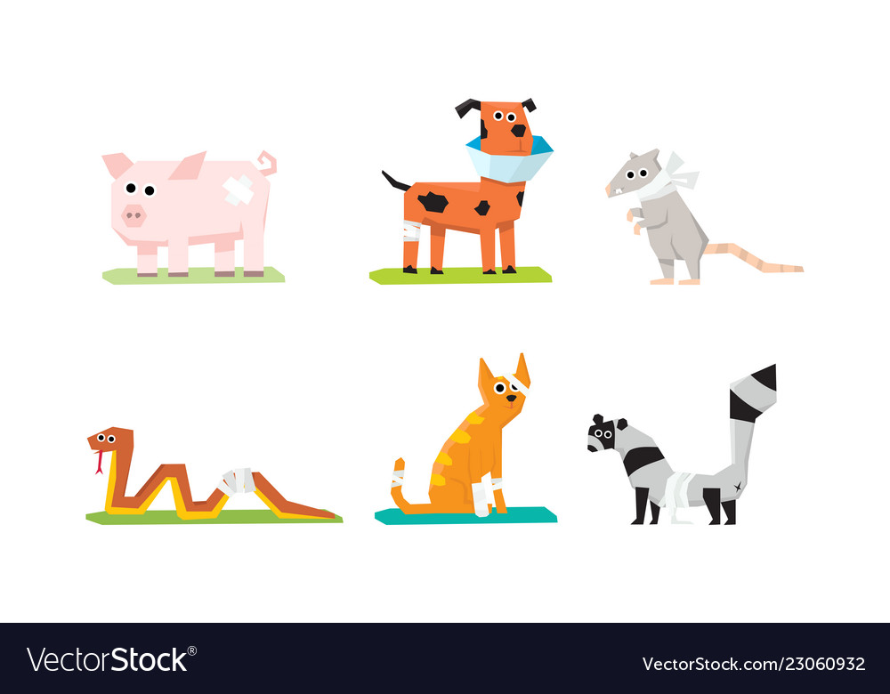 Sick and wounded animals set veterinary care pig Vector Image Sick and wounded animals set veterinary care pig Vector Image